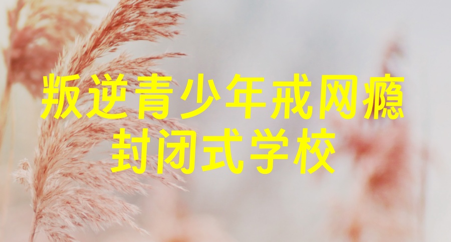 口碑不错的：贵阳top榜单前十叛逆期青少年网瘾戒除中心名单汇总