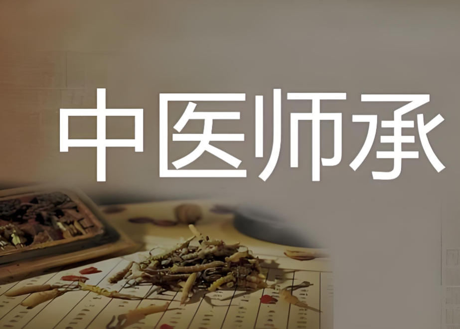 中医师承培训机构
