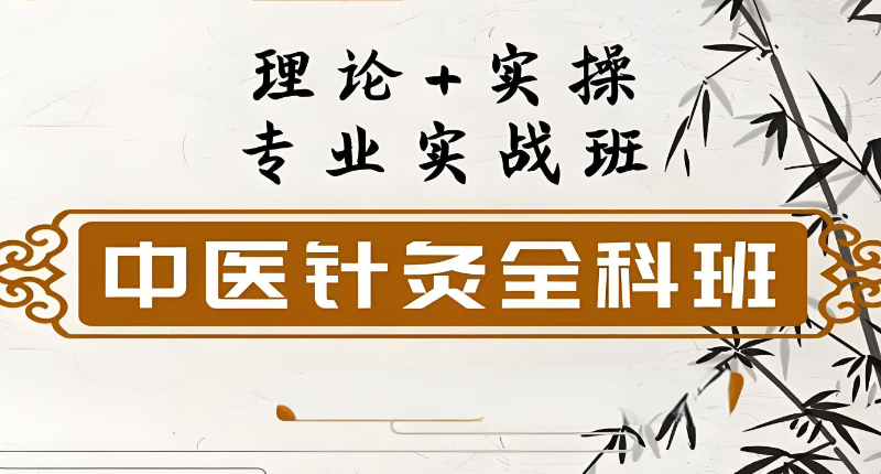 中医针灸全科班