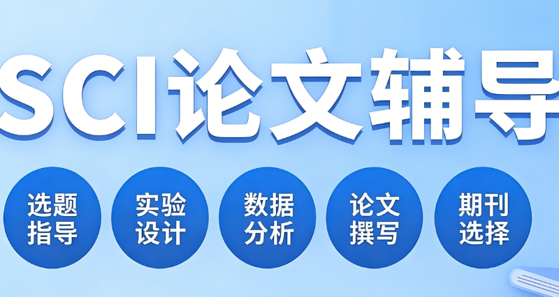 论文辅导