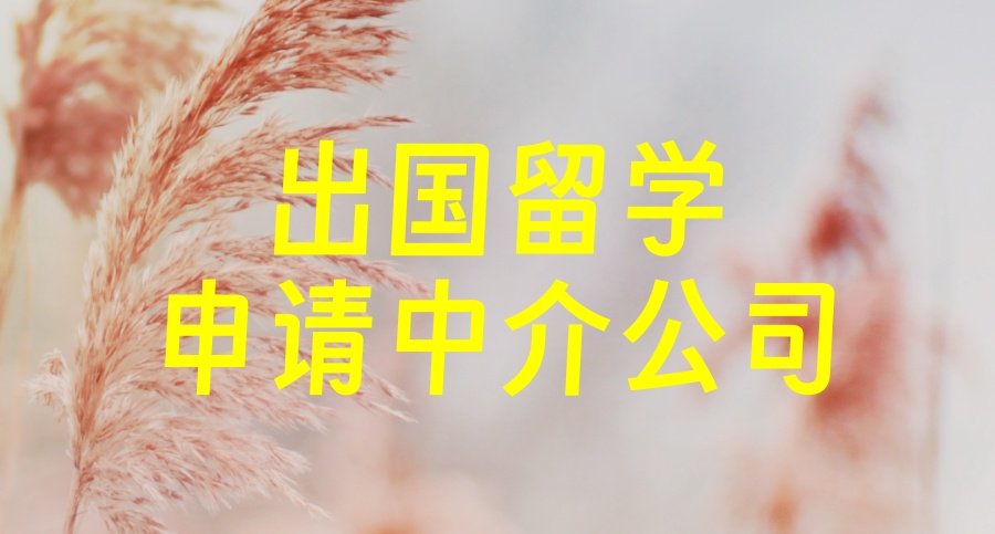 Top榜10大成都市出国留学申请比较快的中介公司一览名单表