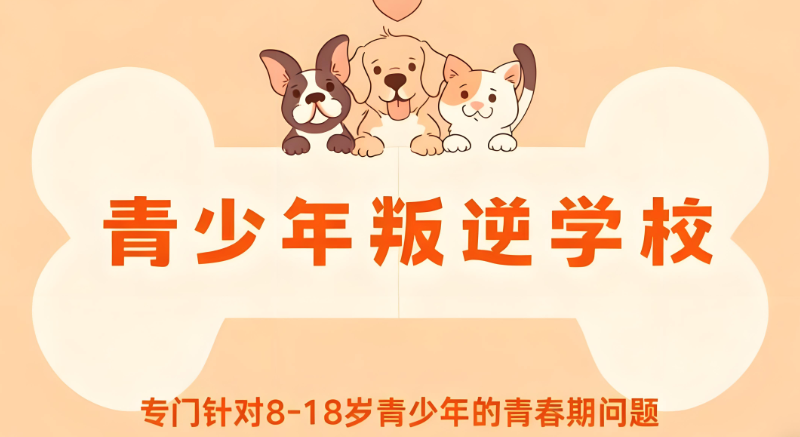 叛逆特训学校