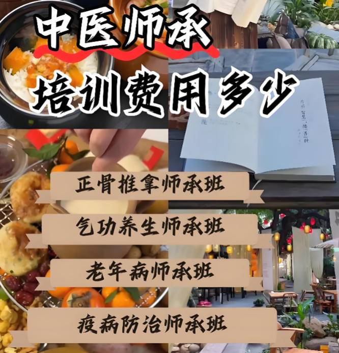 中医师承培训机构
