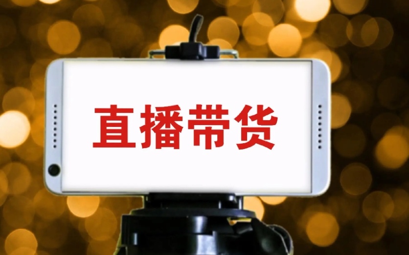电商直播带货培训机构