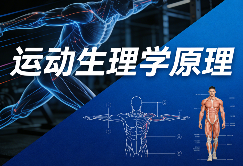 健身教练培训机构，健身姿势培训，硬拉姿势介绍，运动生理学学习