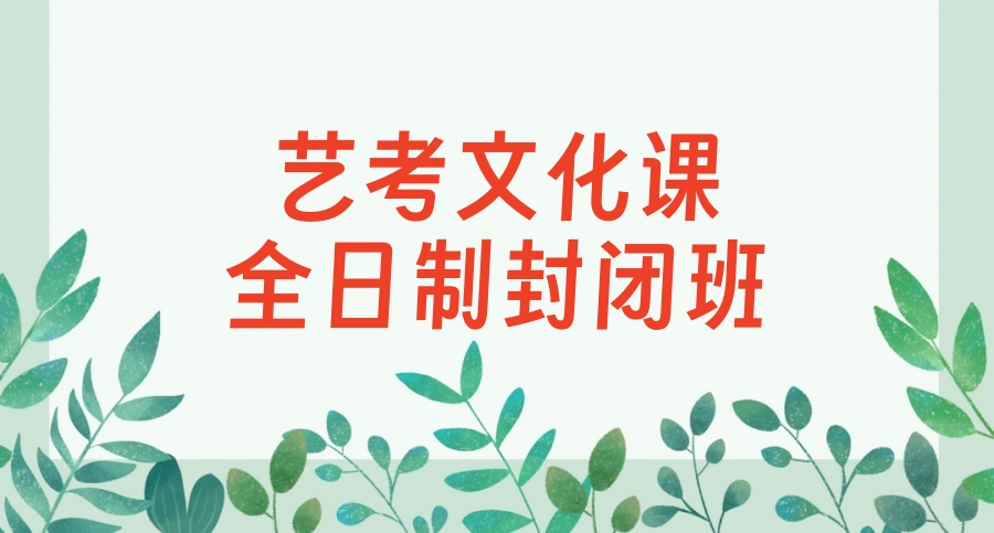 艺考生文化课冲刺集训机构