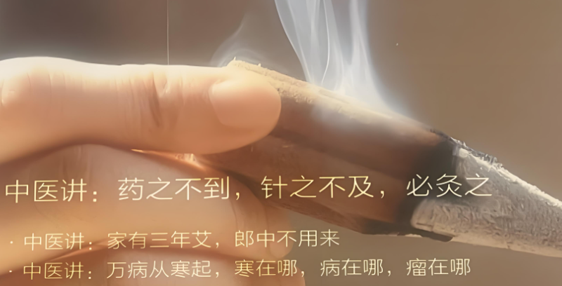 中医艾灸培训