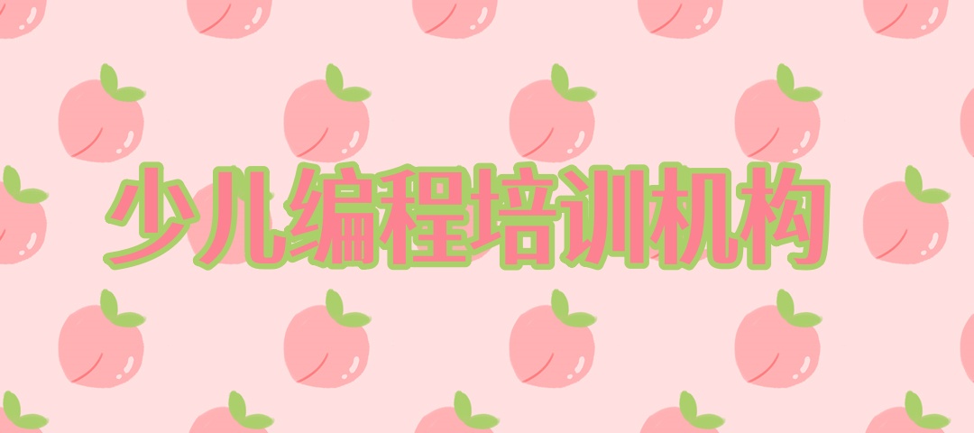 河北石家庄少儿编程培训机构