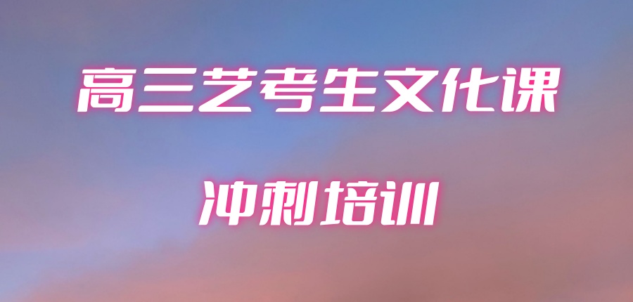高三艺考生文化课冲刺培训班