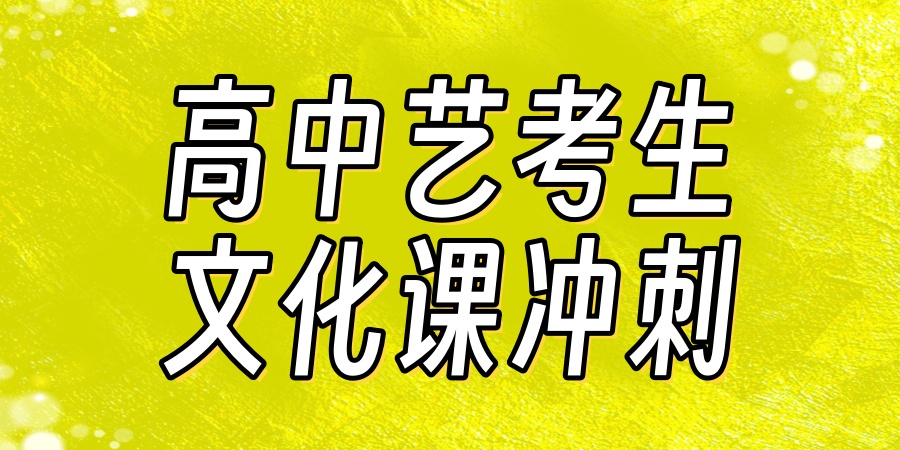 武汉高三艺考生文化课培训机构