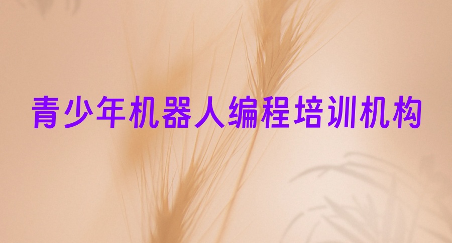 哪里有口碑好的线上少儿机器人编程培训机构