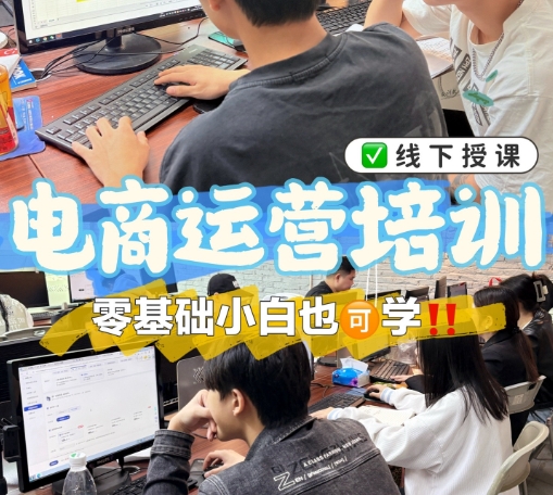 电商运营培训机构，电商技能培训，电商平台选择，电商运营学习