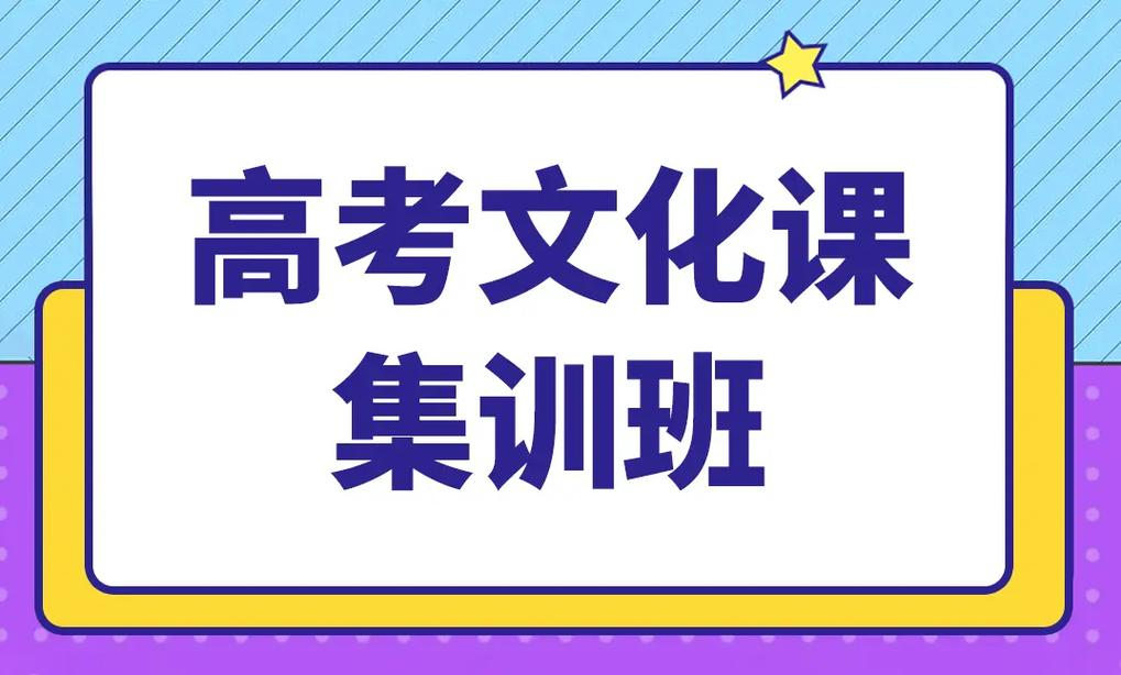 艺考生文化课辅导机构