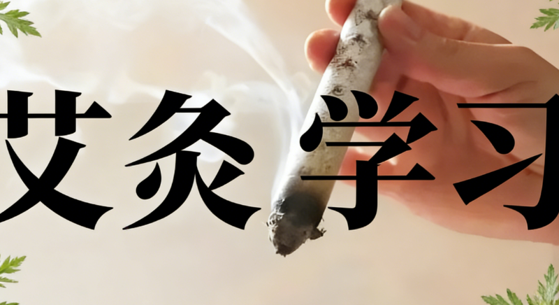 中医艾灸培训