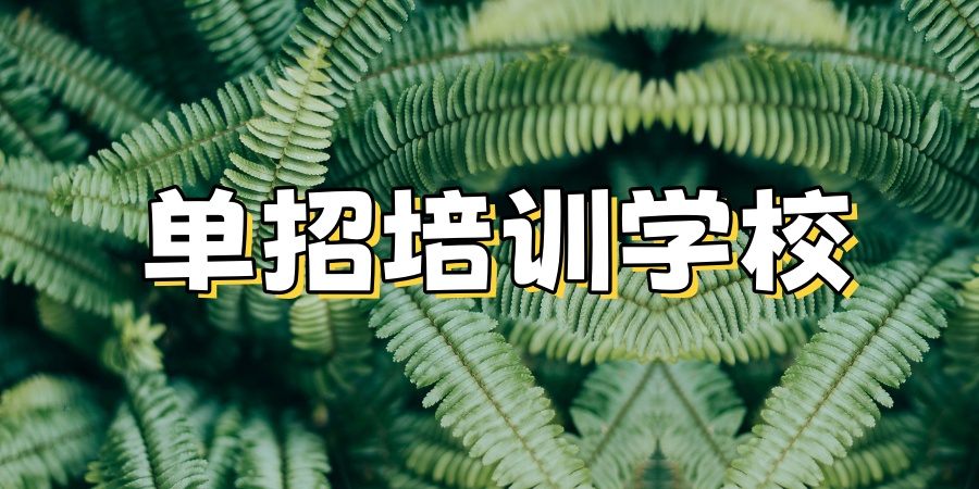 单招辅导机构