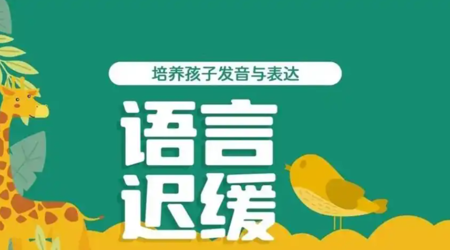 儿童语言发育迟缓康复机构 儿童语言发育迟缓康复机构
