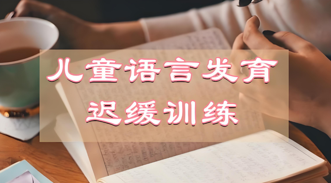 儿童语言发育迟缓康复机构 儿童语言发育迟缓康复机构