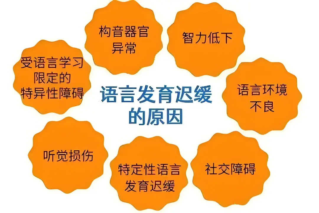 儿童语言发育迟缓康复机构 儿童语言发育迟缓康复机构