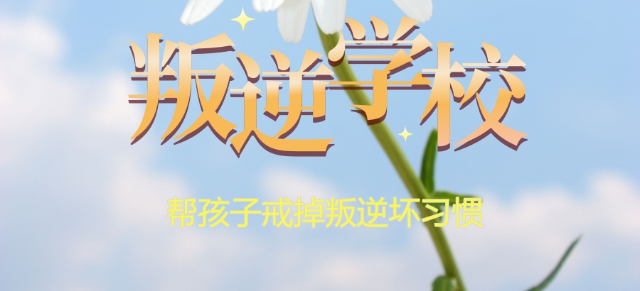 网瘾叛逆心理特训矫正机构