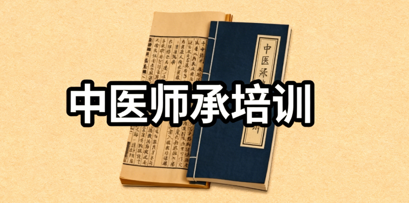 中医培训