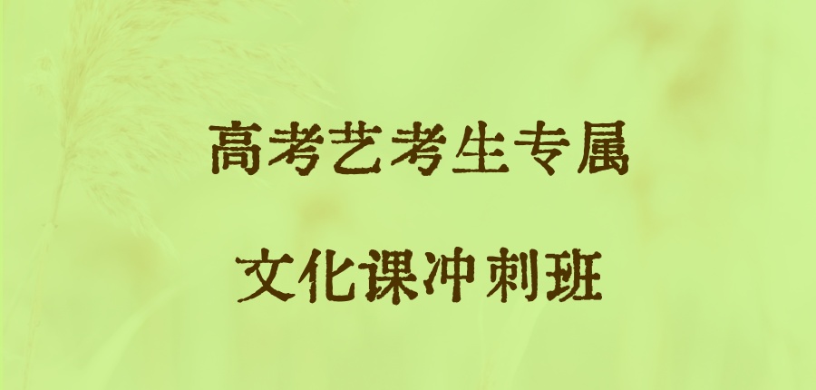 高考艺考生专属文化课冲刺班