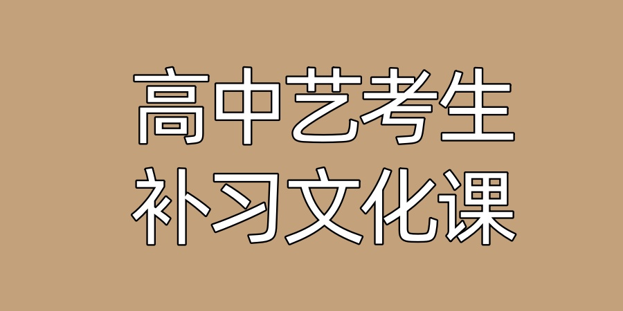 合肥高考艺考生专属文化课冲刺机构