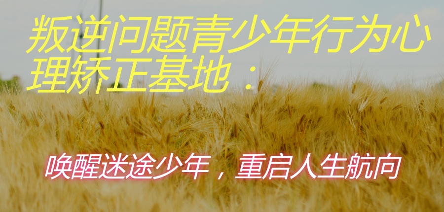广西南宁叛逆青少年问题改造学校