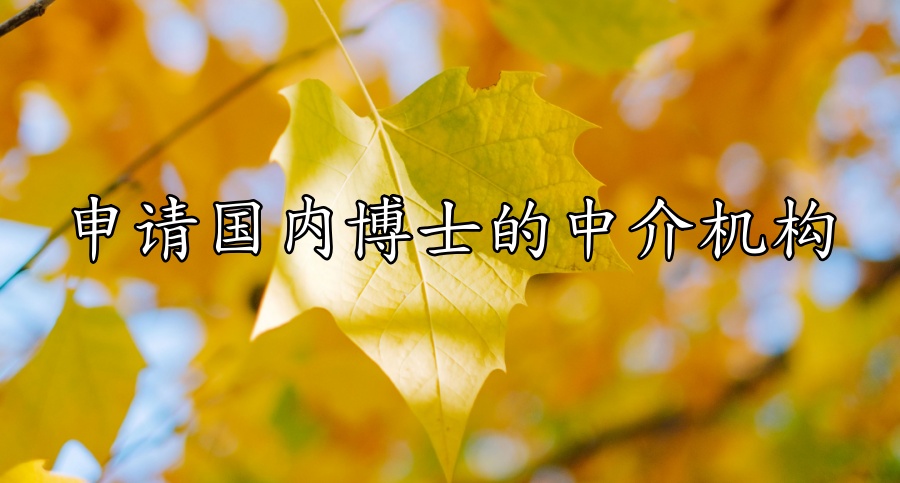 读博士比较靠谱的申请中介机构