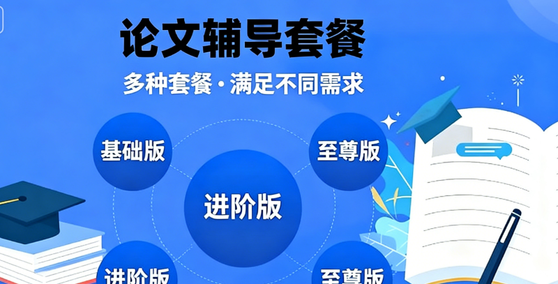 毕业论文辅导