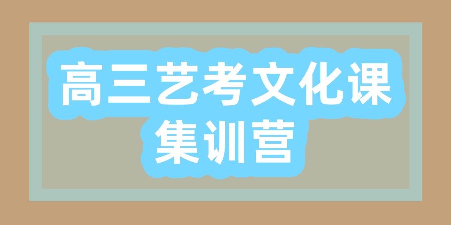上海高三艺考文化课辅导机构