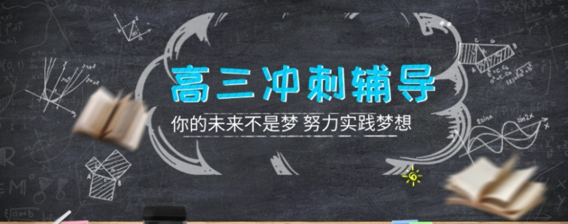 高考冲刺辅导机构