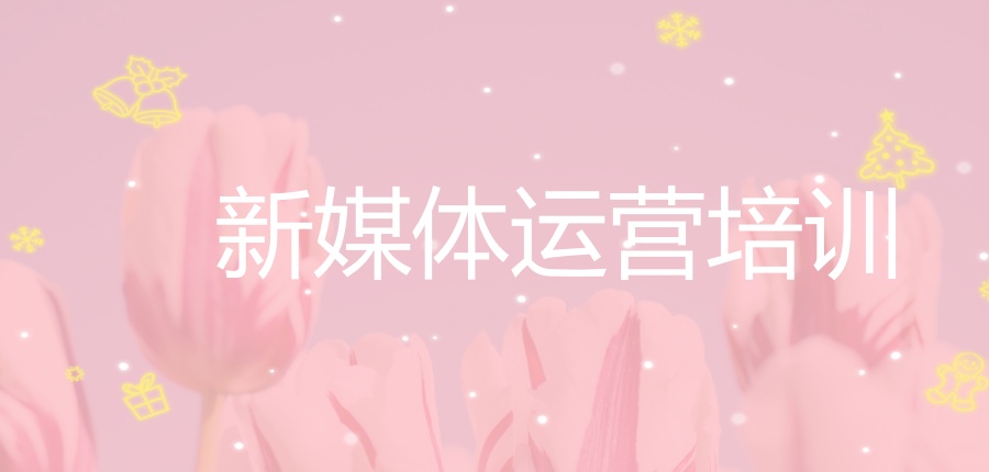 新媒体运营培训班