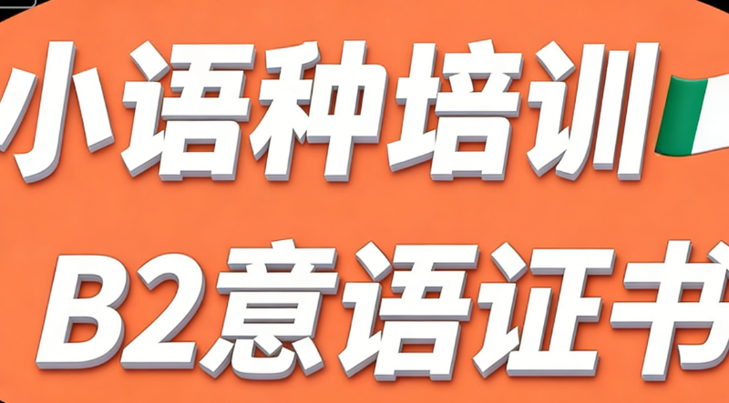 意大利语b2培训