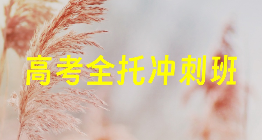 港澳台华侨生联考培训机构
