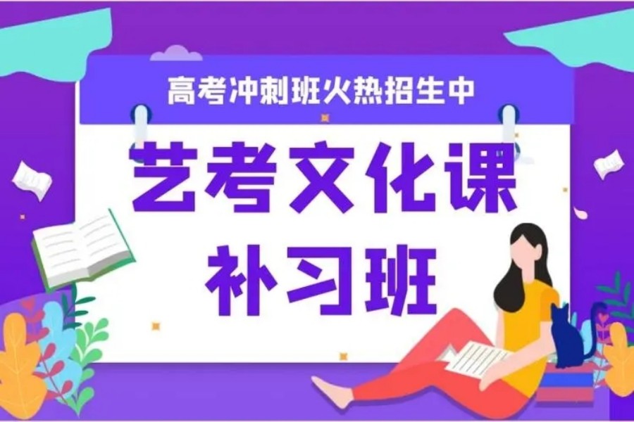 高三艺考文化课集训学校