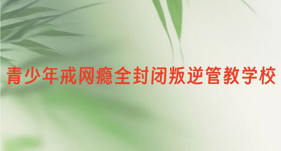Top10名单一览出炉→广州市十大青少年戒网瘾全封闭叛逆管教学校更新