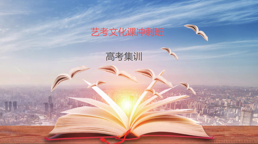 合肥2026届高三艺考文化课集训营前十辅导机构热推