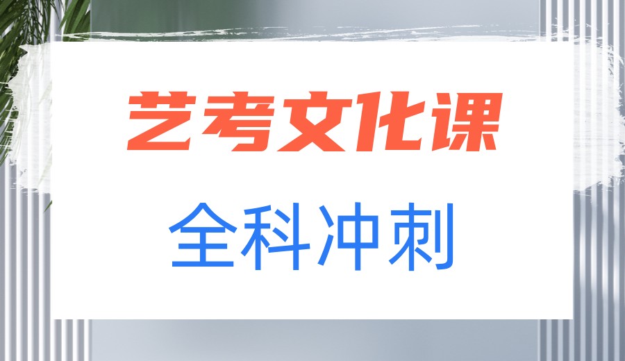 成都高考艺考文化课全科冲刺辅导机构前十名单top汇总.jpg