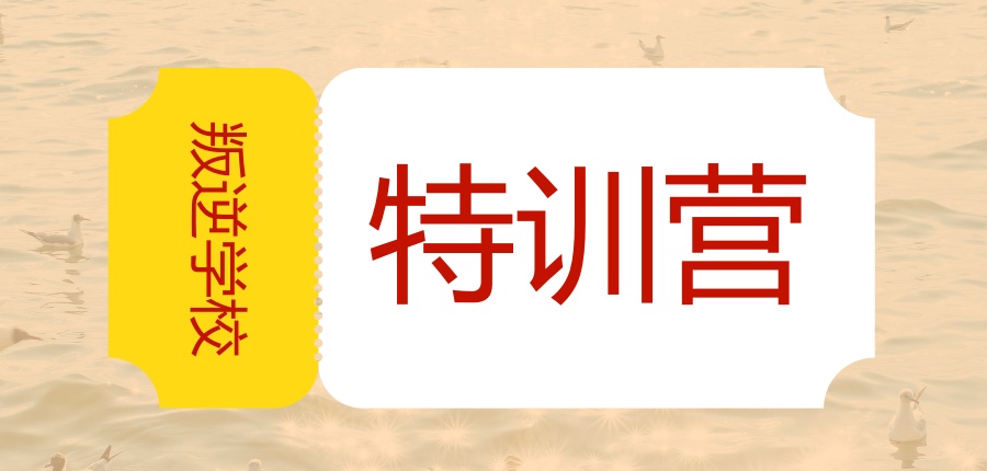 叛逆学校特训营