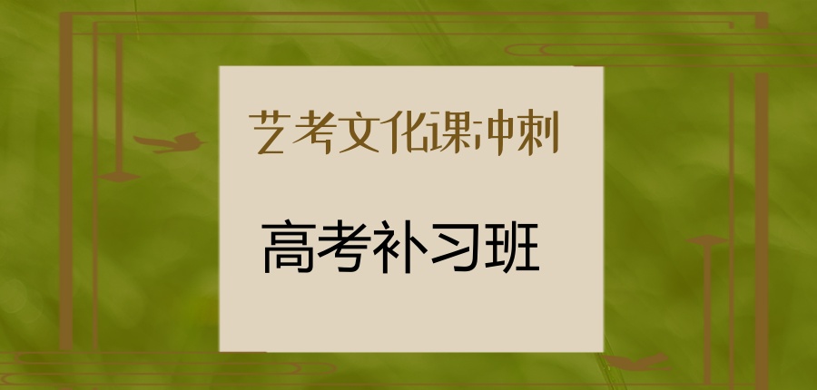 艺考文化课冲刺班