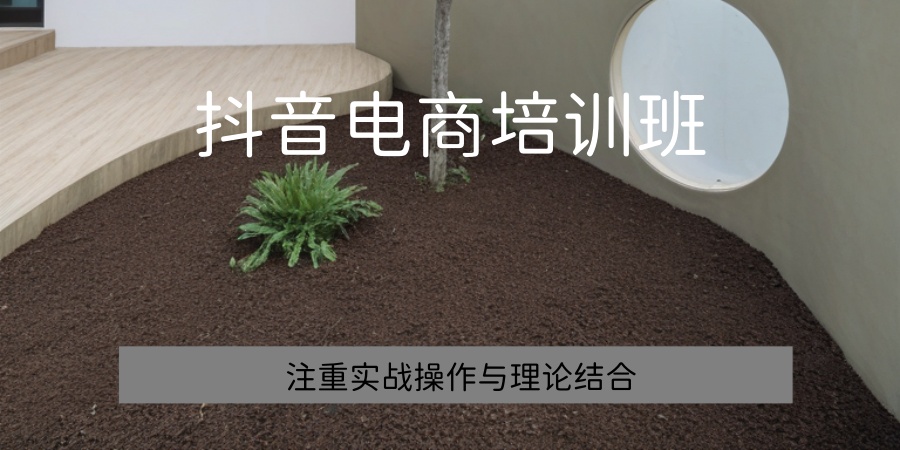 浙江义乌抖音电商培训班前五全新推荐榜