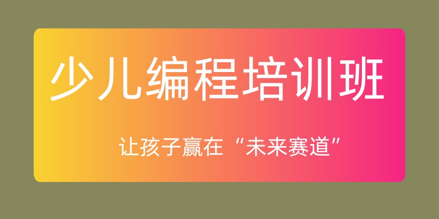 竞赛编程辅导机构