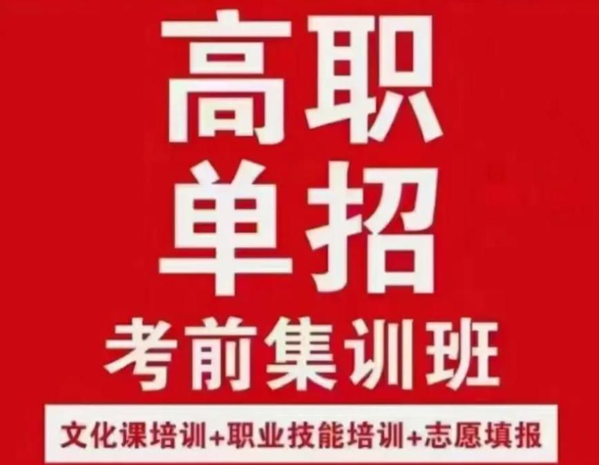 高职单招培训机构