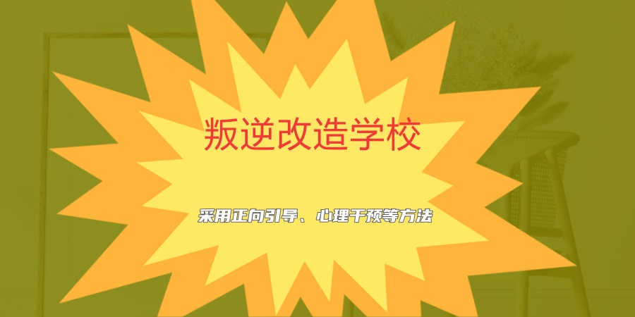 叛逆改造 学校
