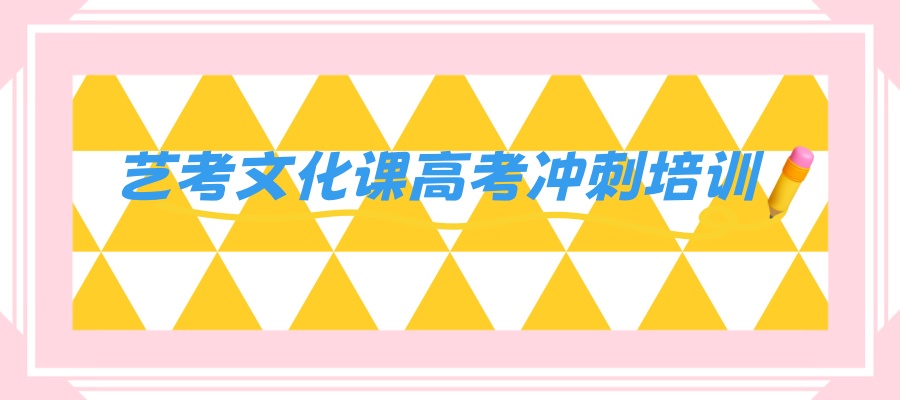 艺考文化课冲刺辅导机构