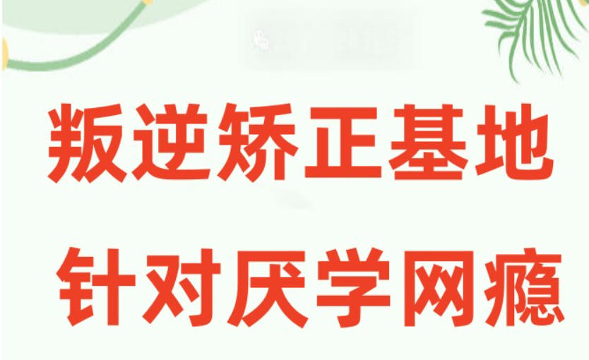深圳叛逆少年戒网瘾学校