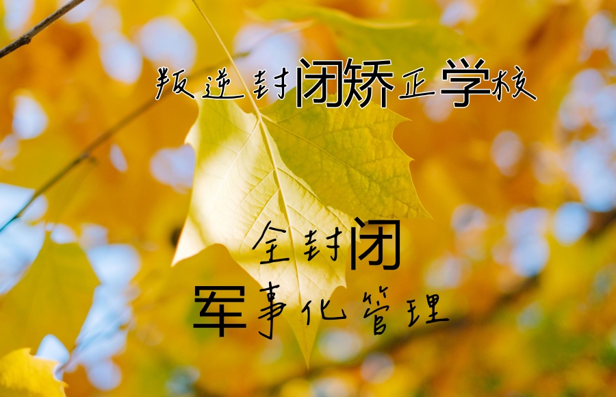 叛逆培育学校