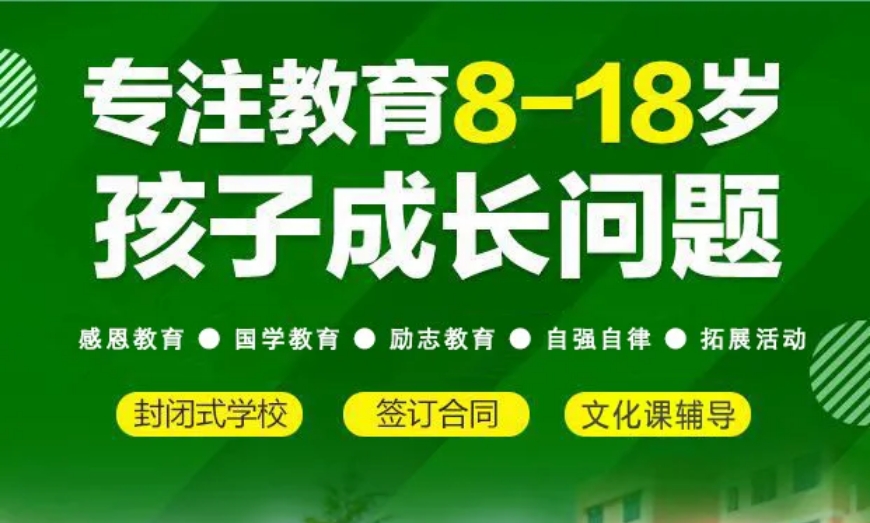 国内2026前十大正规叛逆学校