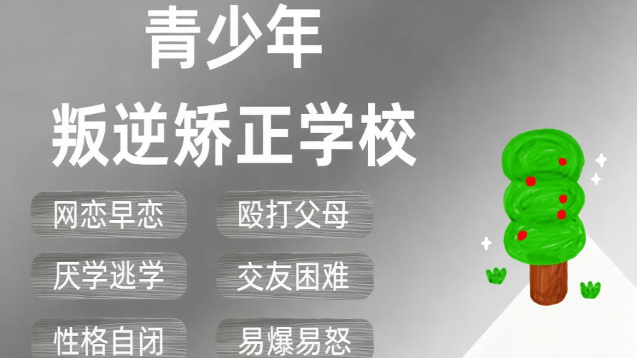 武汉汉川甄选2026年十大叛逆戒网瘾正规学校名单一览.jpg