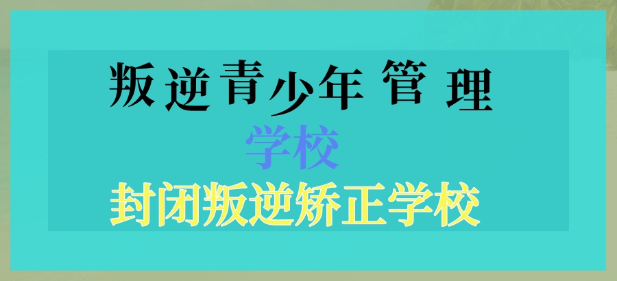 叛逆学校收费标准是怎样的?